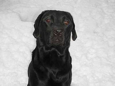 Luna Fire of Black Mountain – *Jacky*