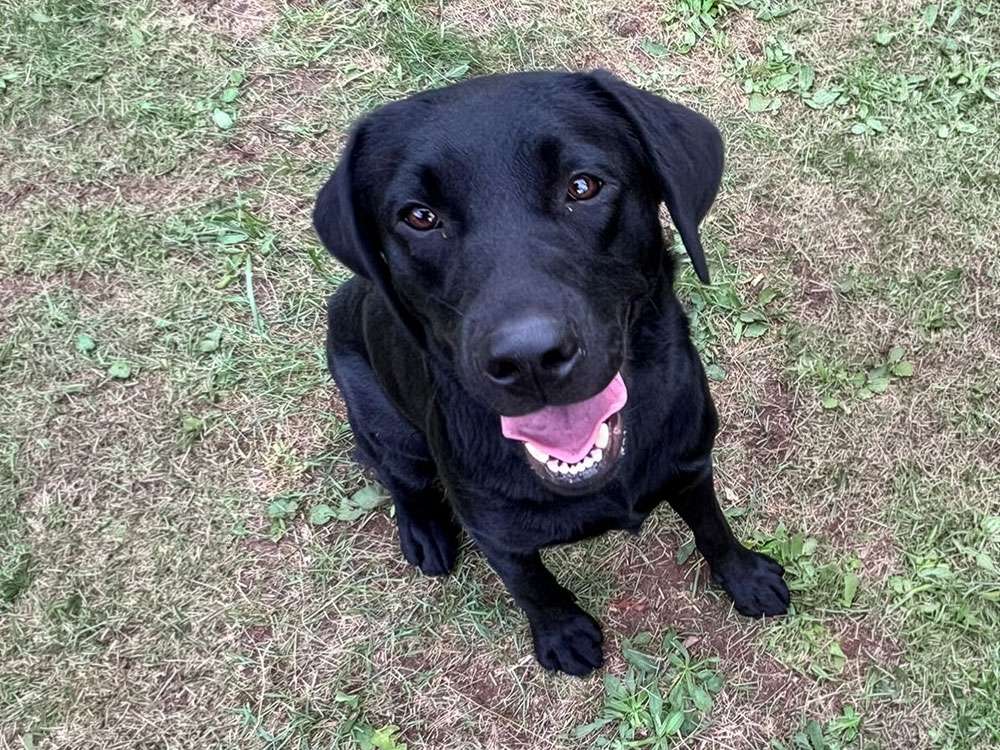 Yosie Fire of Black Mountain